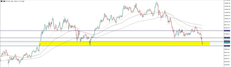 WhatsApp Image 2026-02-02 at 8.50.17 AM